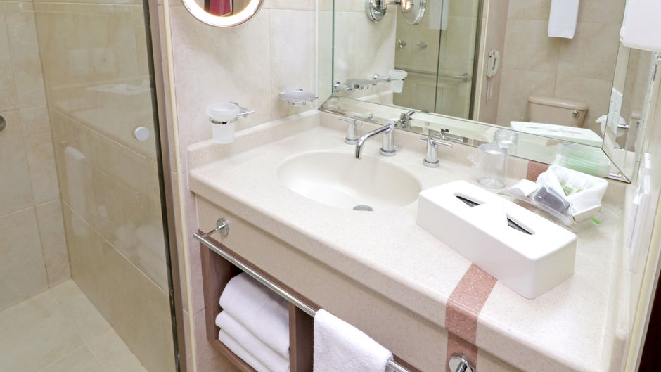 Holiday Inn Hotel & Suites Medica Sur Room