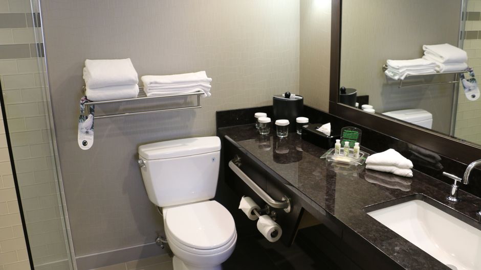 Holiday Inn Calgary Airport Room