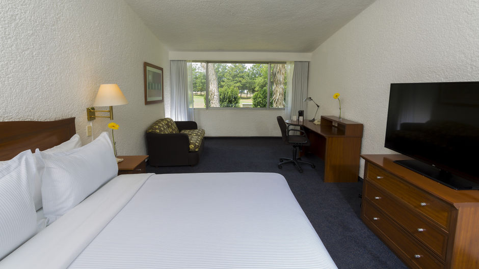 Gamma Pachuca Room