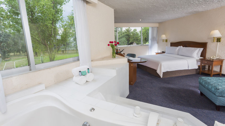 Gamma Pachuca Suite