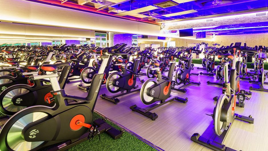The Walt Madrid Health Club