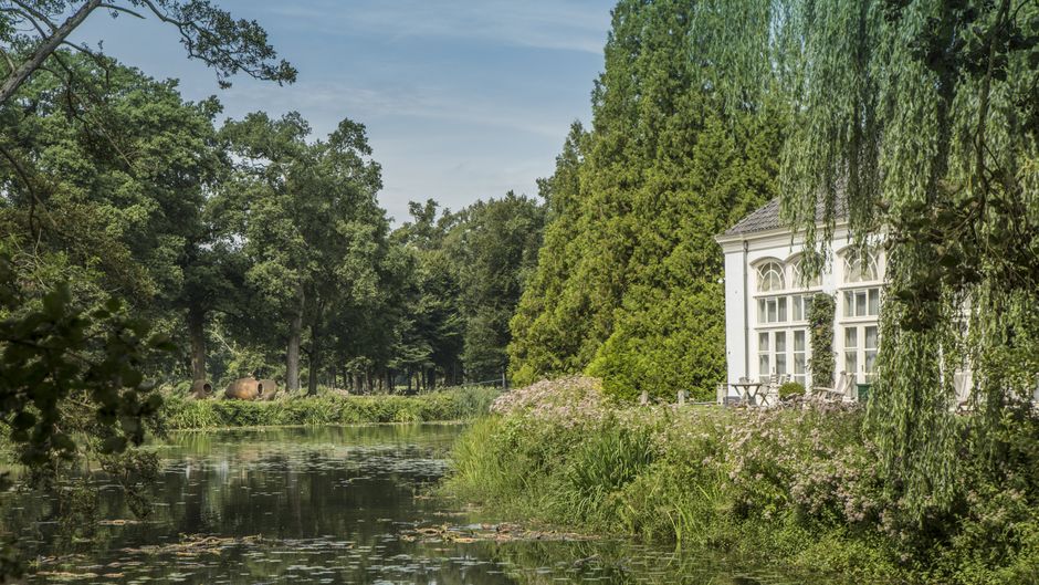 Kasteel Engelenburg Exterior