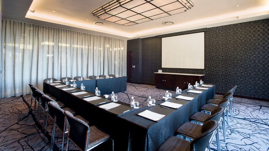 DaVinci Hotel & Suites Meeting