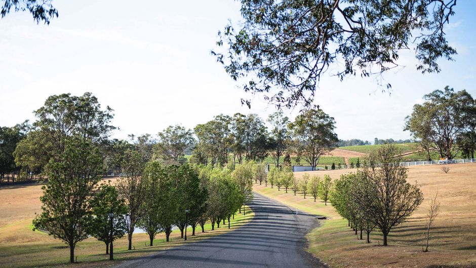 voco Kirkton Park Hunter Valley Other