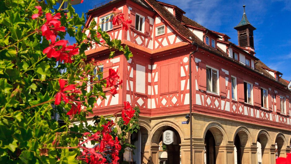 Holiday Inn Express Stuttgart-Waiblingen Other