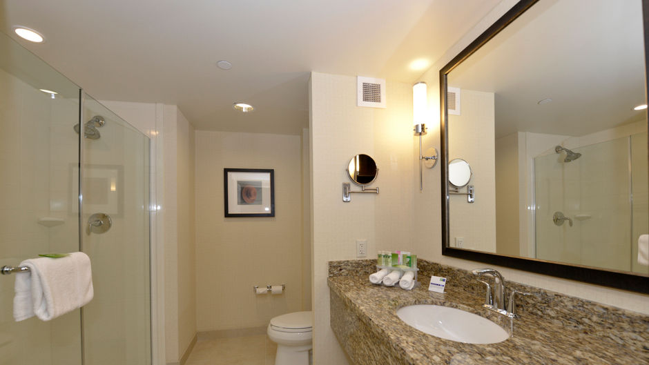 Holiday Inn Express & Stes Waterloo Room