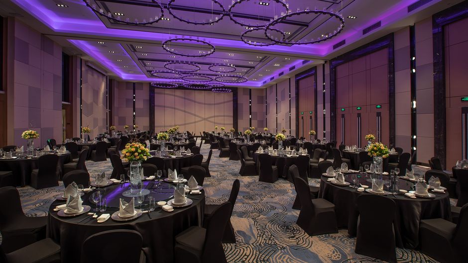 Holiday Inn Tianjin Wuqing Ballroom