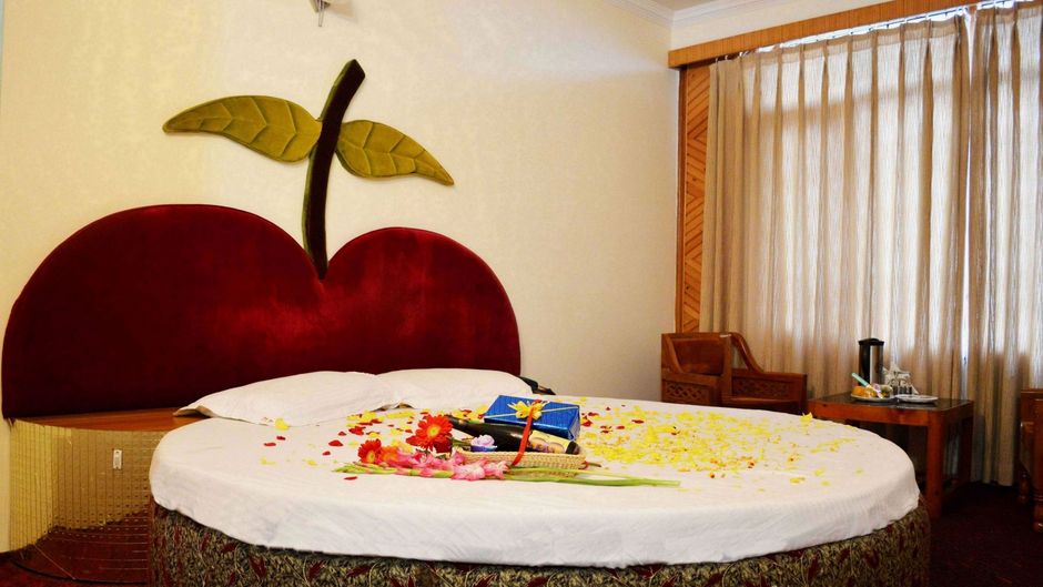 Hotel Mountain Top Room