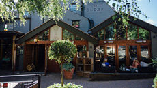 The Globe