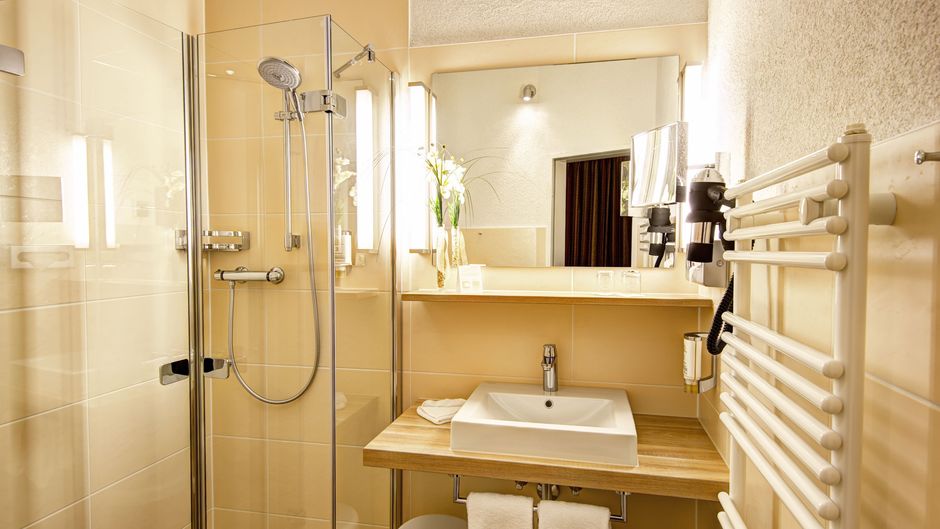 Hotel Amsterdam Room