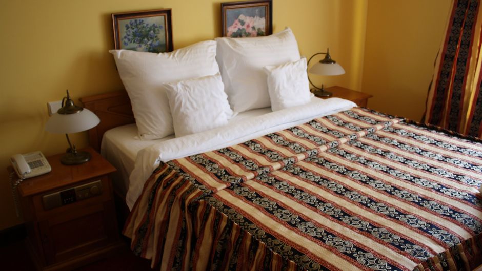 Hotel Petite Fleur Torun Room