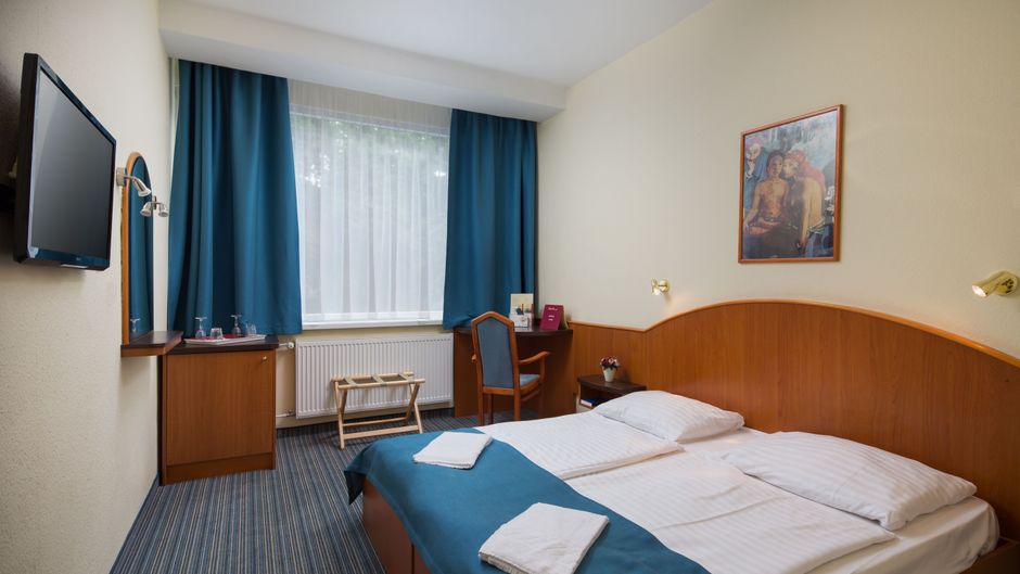 Hotel Benczur Room