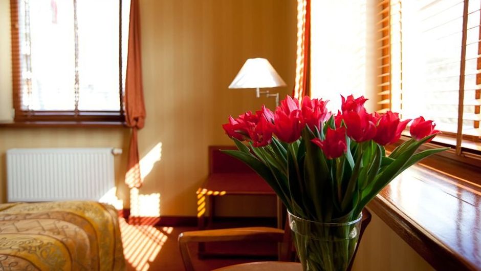 Willa Lubicz Hotel Room