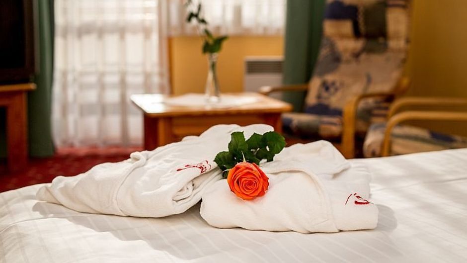 Hotel Skalny Room