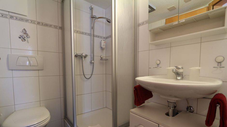 Alpina Hotel Room