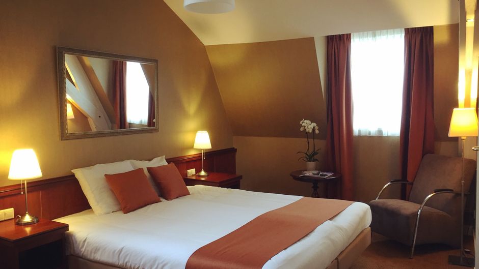 Hotel Johannes Vermeer Delft Room