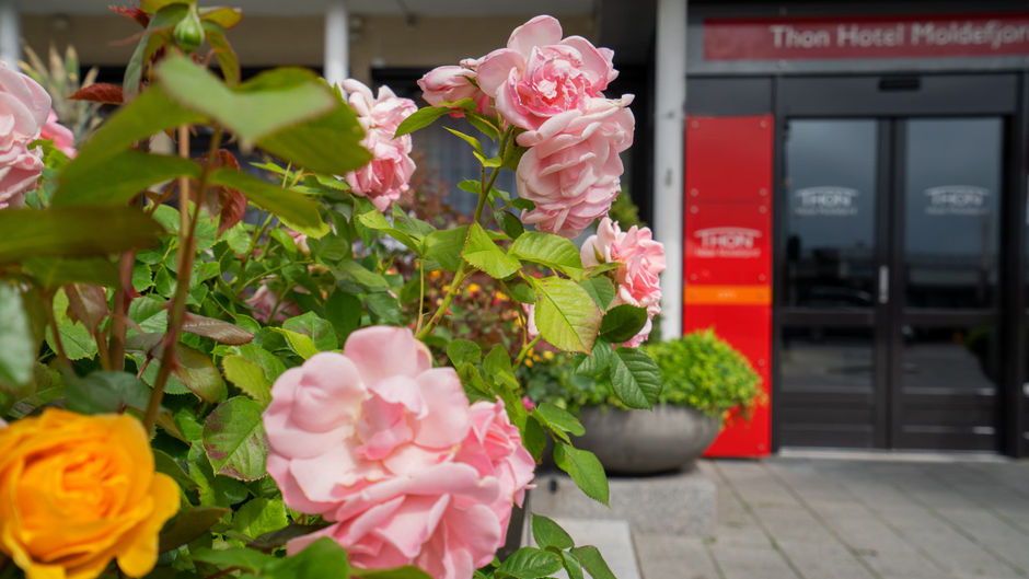 Thon Hotel Moldefjord Exterior