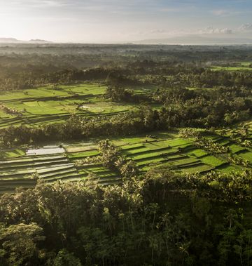 COMO Shambhala Estate
