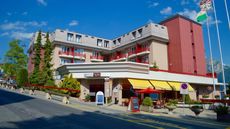 Alpine Classic Hotel Leysin