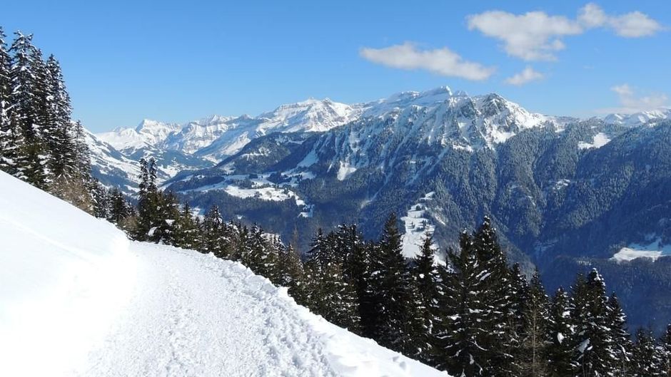 Alpine Classic Hotel Leysin Exterior