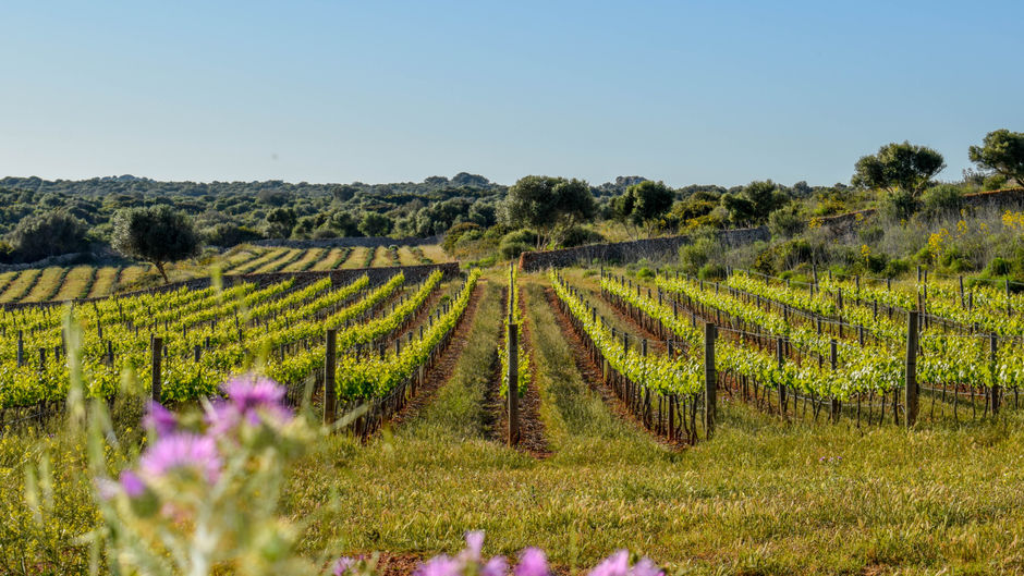 Torralbenc Menorca Exterior