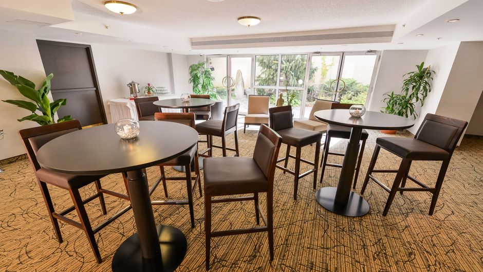 Holiday Inn Centrevillle Downtown Meeting
