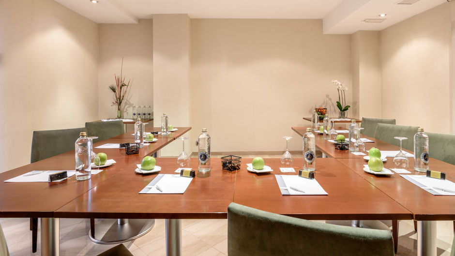 Exe Leon Hotel Meeting