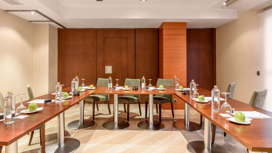 Exe Leon Hotel Meeting
