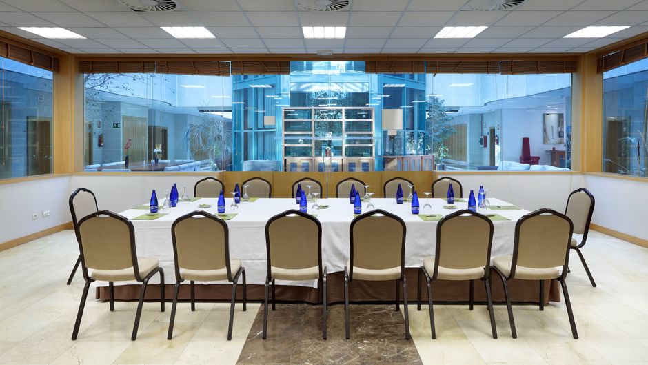 Exe Gran Hotel Almenar Meeting
