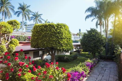 Gamma Cuernavaca Puerta Paraiso