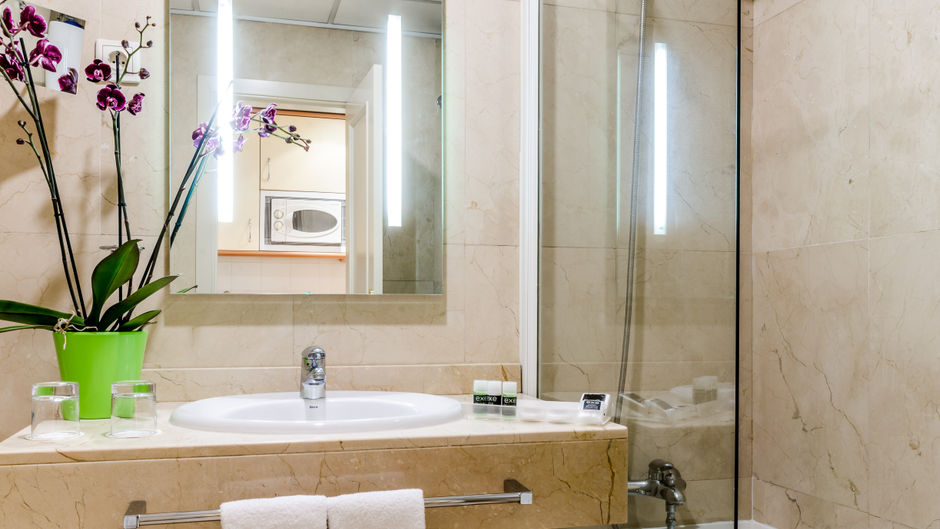 Exe Suites 33 Room