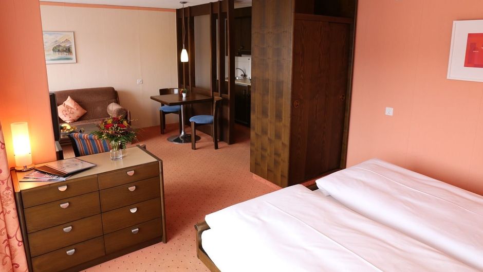 Seegarten-Marina Hotel Room