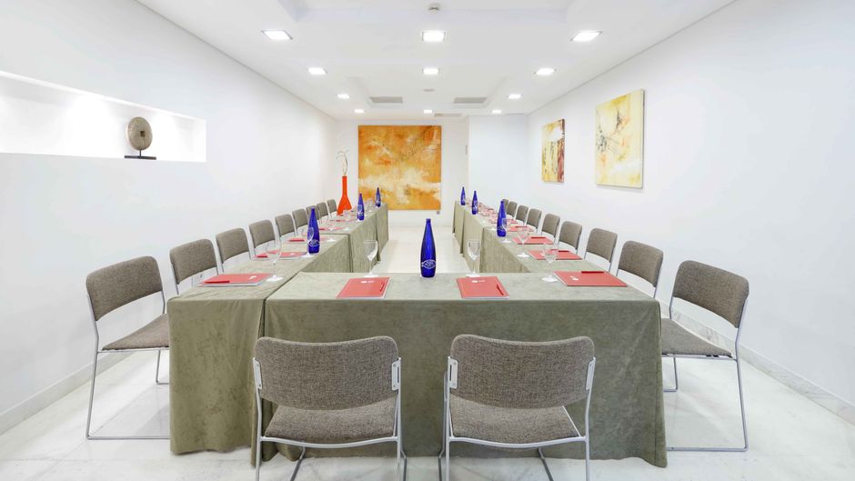 Exe Estepona Thalasso & Spa Meeting