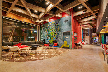 Ibis Torreon