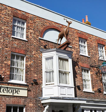 The Antelope