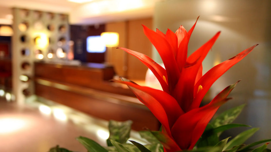 Holiday Inn Express Southampton M27 Jct7 Lobby