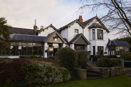 The White Rabbit Hotel