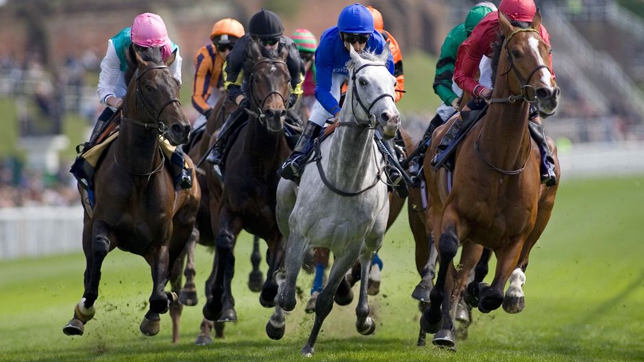 Holiday Inn Express Racecourse Recreation