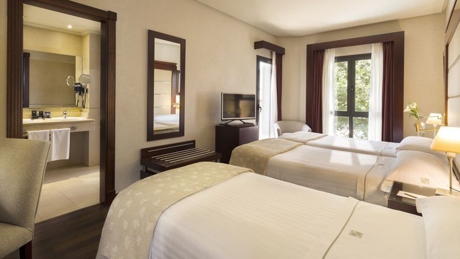 Badajoz Center Hotel Room