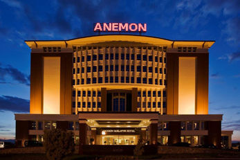 Anemon Malatya