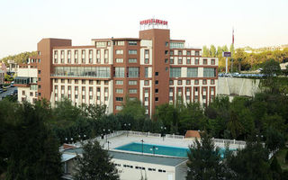 Anemon Manisa