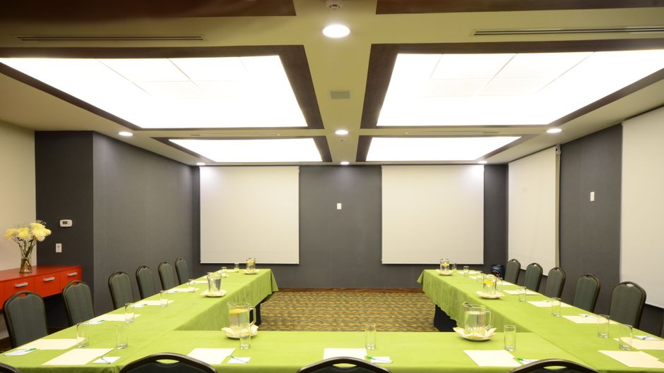 Holiday Inn Tampico Altamira Meeting