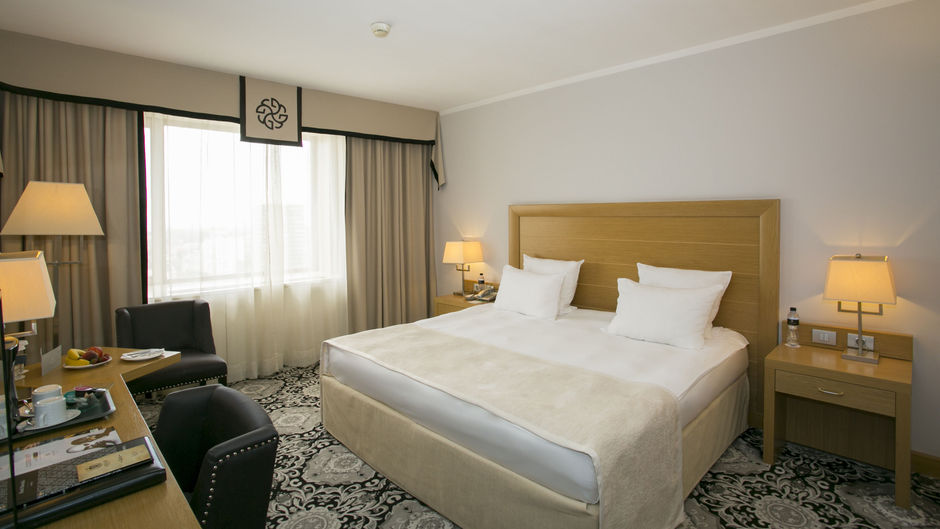Hotel Marinela Sofia Room