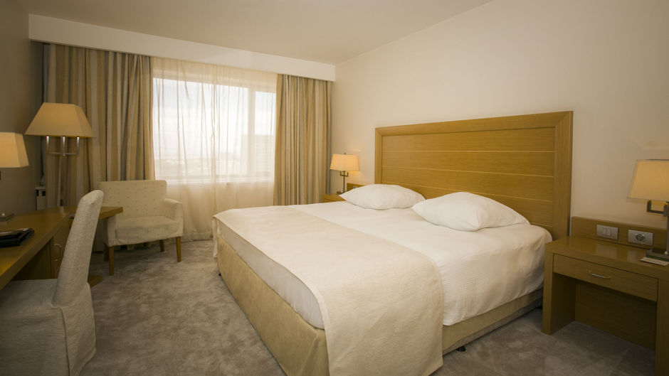 Hotel Marinela Sofia Room