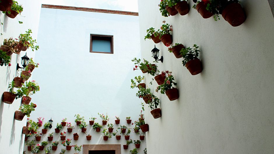 Hotel Hacienda San Cristobal Exterior