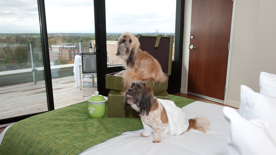 The Holman Grand Hotel Suite