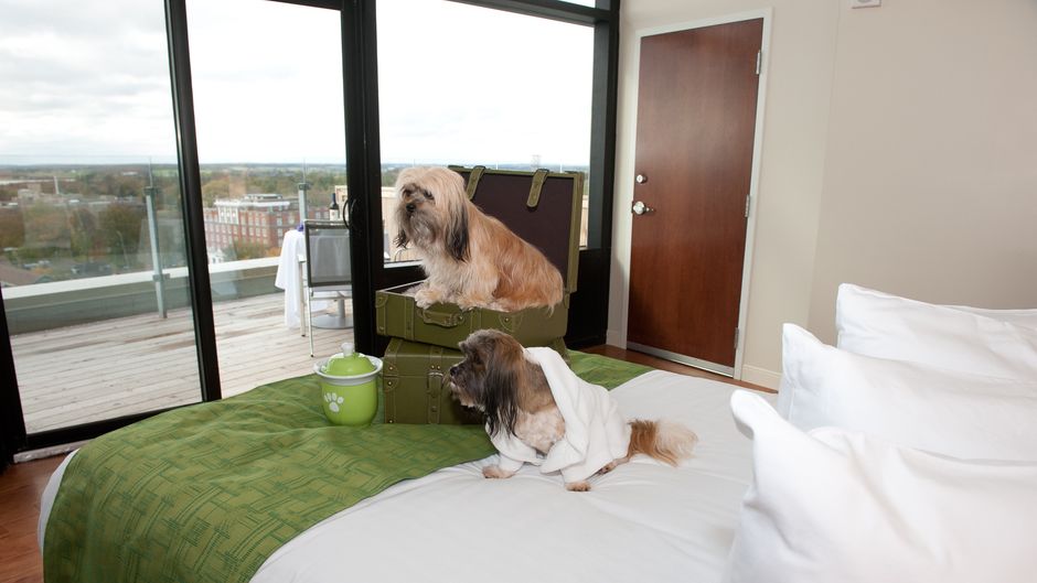 The Holman Grand Hotel Suite