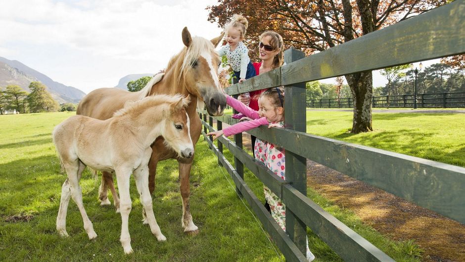 The Dunloe Hotel & Gardens Recreation