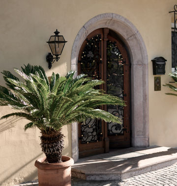 Villa Arnica Suites & Garden