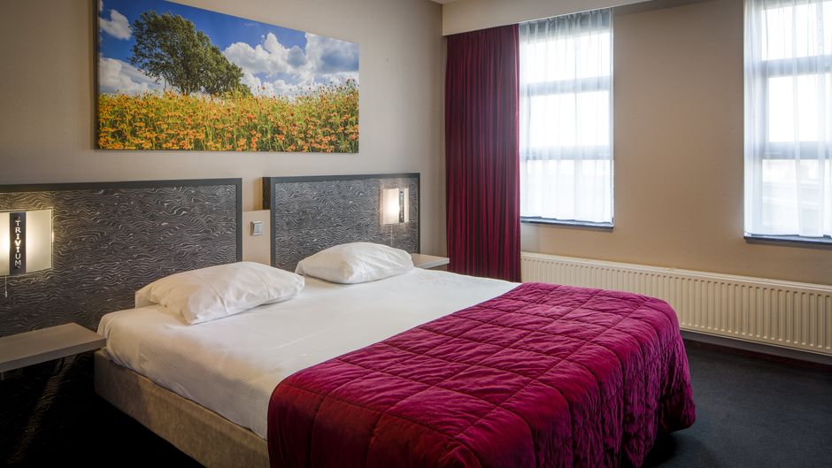 Fletcher Trivium Hotel & Spa Suite